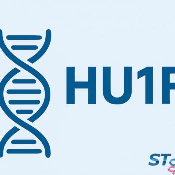 Гаплотипи в голштинській породі